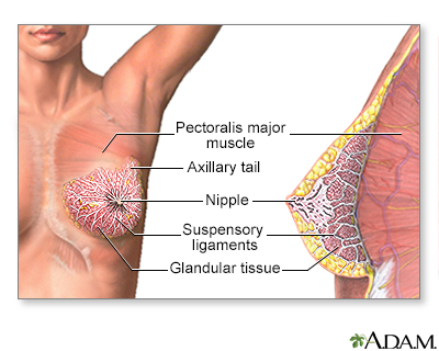 Early stages of breast cancer could soon be diagnosed from blood samples