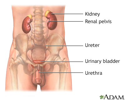 In Depth Reports Penn State Hershey Medical Center Urinary Tract Infection Penn State Hershey Medical Center