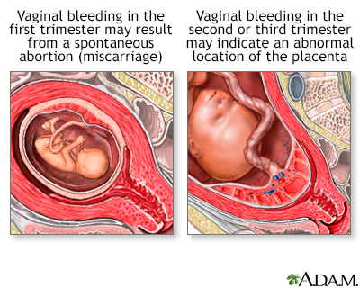 The Vagina During Sex 58