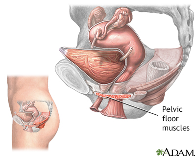 kegels emptying sex bladder trouble