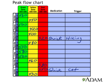 Airlife Asthma Check Peak Flow Meter Chart