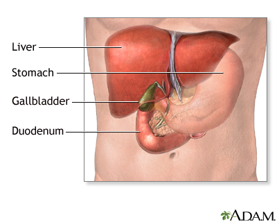 common bile duct cystic duct. The cystic and common bile